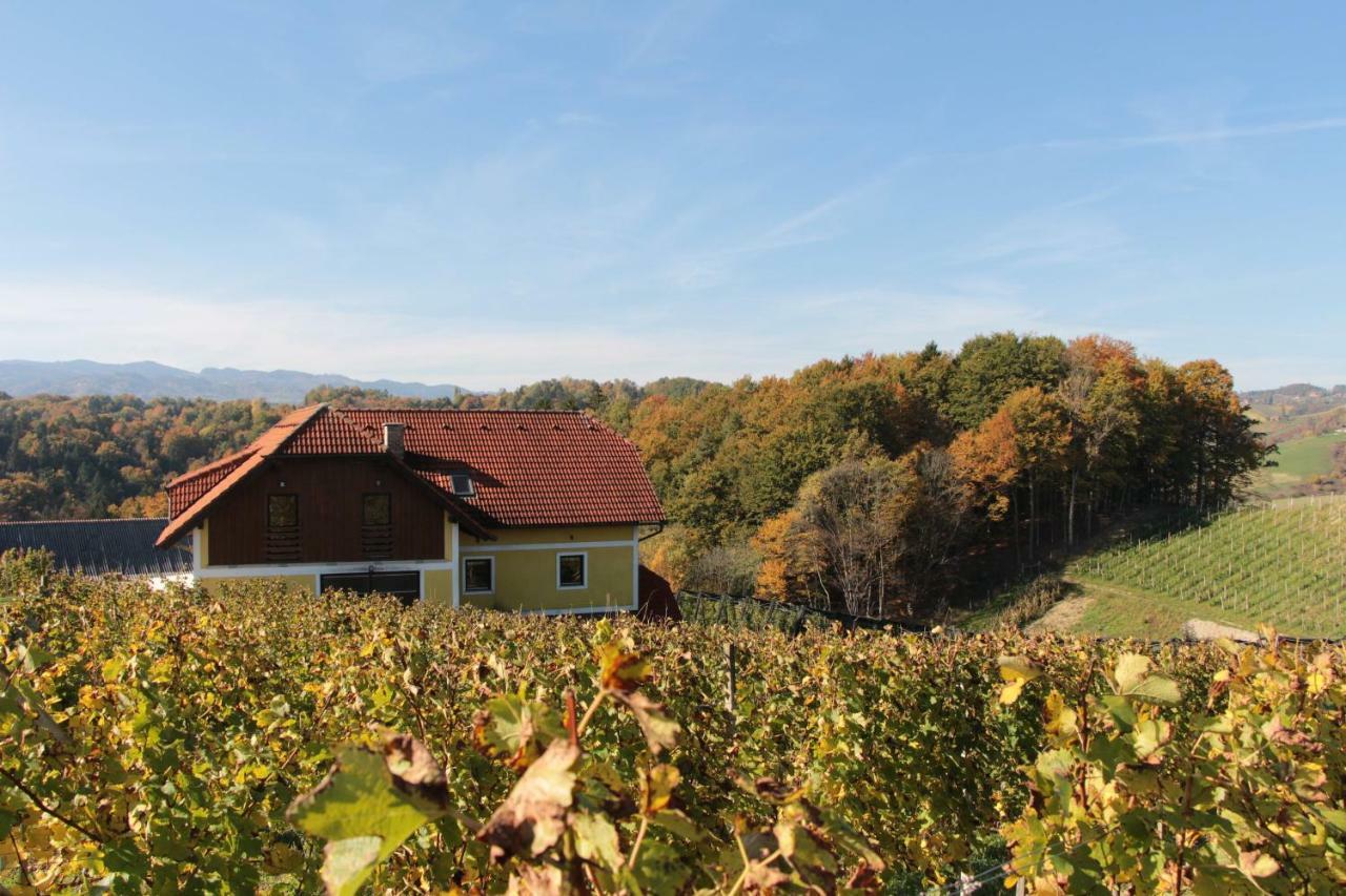 Vdovic Guest House Svecina エクステリア 写真