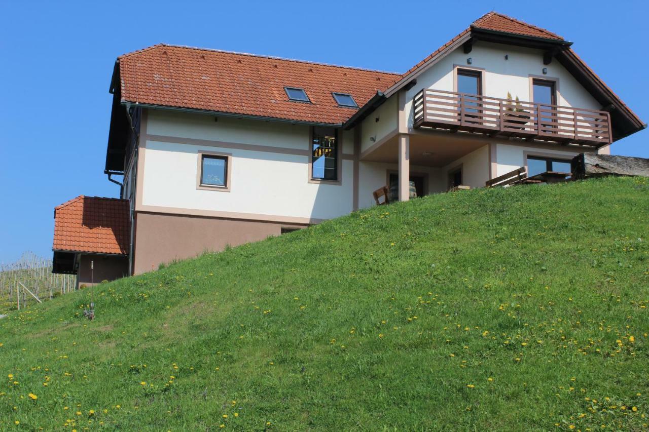 Vdovic Guest House Svecina エクステリア 写真